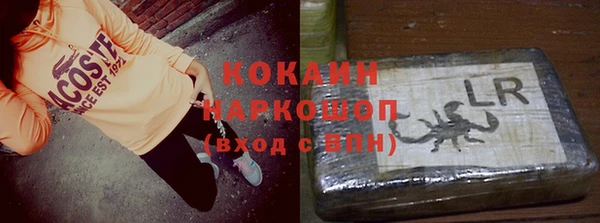шишки Алзамай