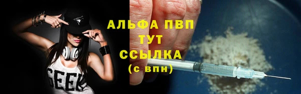 шишки Алзамай