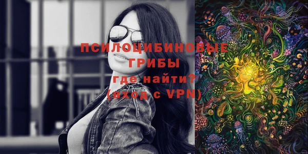 шишки Алзамай
