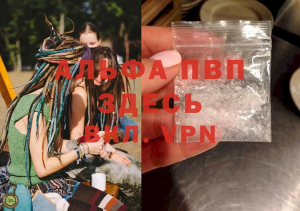 шишки Алзамай