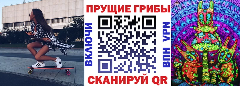 Галлюциногенные грибы Cubensis Сосновка