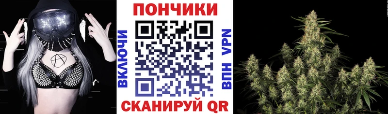 Бошки Шишки VHQ  как найти наркотики  Сосновка 